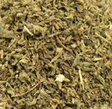 PENNY ROYAL HERB Cut and Sifted